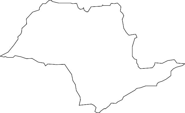 Карта Сан-Паўлу вектар
